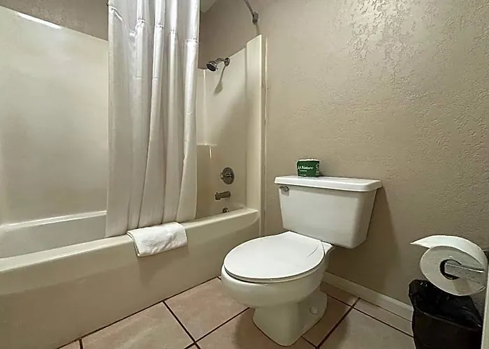 Super 8 By Wyndham Il Hotel Taylorville